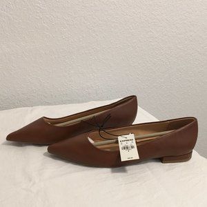 Express Pointed Toe Ballet Flats